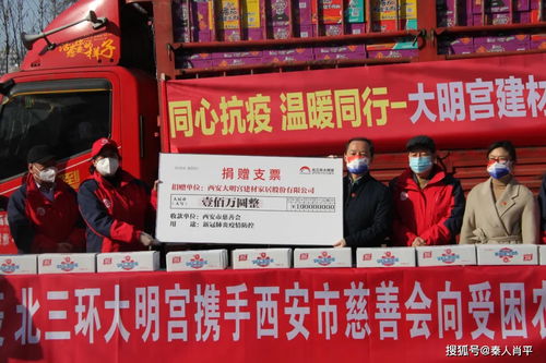 西安大明宫实业 西安大明宫建材家居通过西安市慈善会为抗疫捐赠
