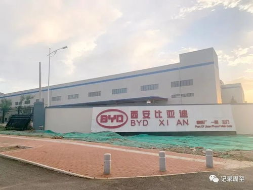 秦岭脚下,东有高新集贤园,西有曲江楼观,周至县要起飞了